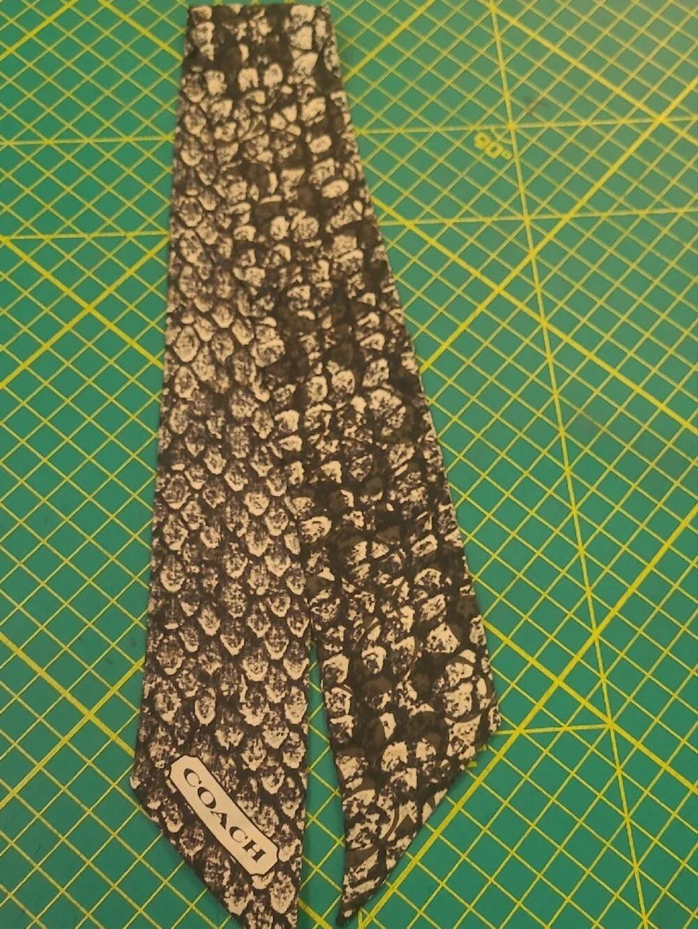 Coach Taylor  Black & White Snake-Print Silk Scarf Tie F83980